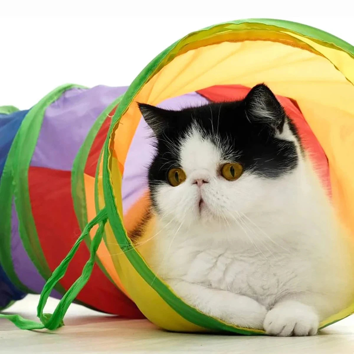 TUBY - Tunnel pliable pour chat
